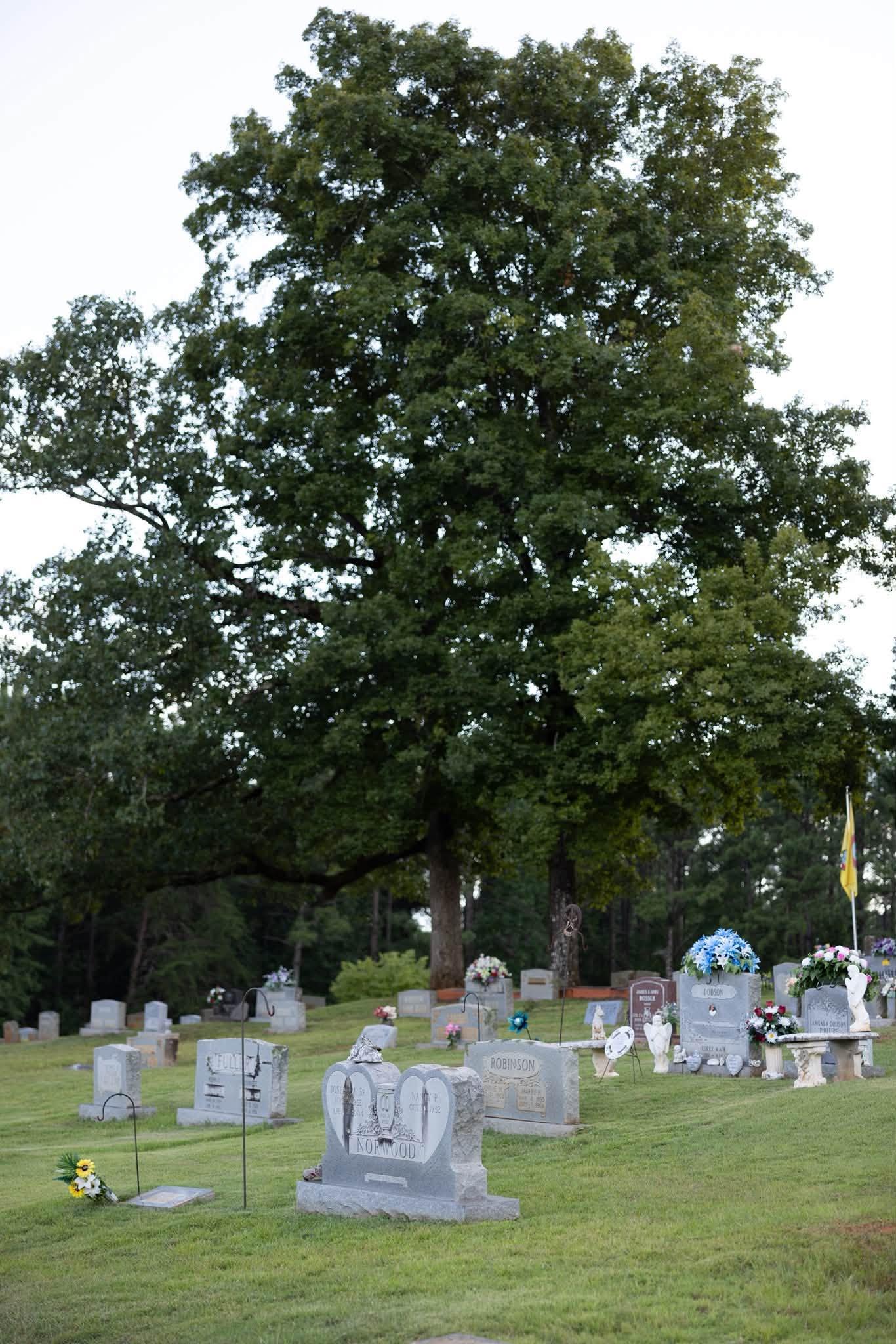 Rows of headstones near a tree at Genery’s Gap Cemetery